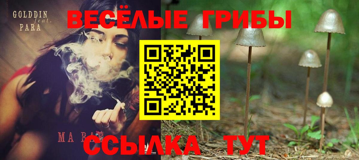 Галлюциногенные грибы прущие грибы Калач-на-Дону